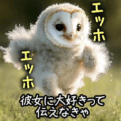 彼女に送る 急ぐフクロウ【カップル】