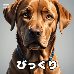 ゆるっとラブの気ままな毎日