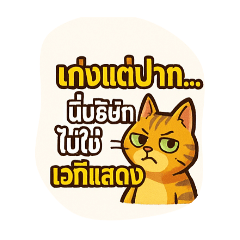 cat/ funnycat_20250719101137