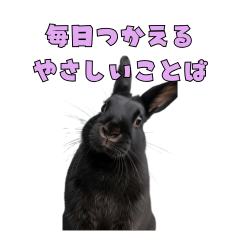毎日つかえる優しいことば【黒うさぎノワ】
