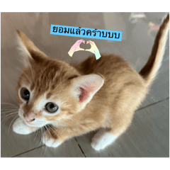 SUNISA ONPAIBOON YING_20260103171438