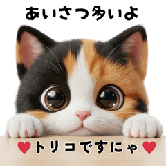 猫のトリコ君スタンプ３・挨拶多め
