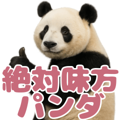 絶対味方パンダ ０４ ローズレッド
