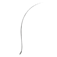 画面の不審者：全部「毛」です