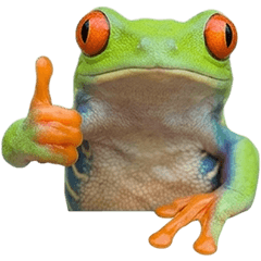 アカメアマガエル　実写