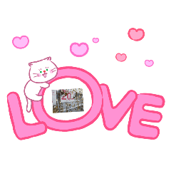 morio_20260613140849
