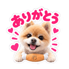 チョコスタンプ♡U・x・U♡