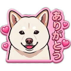 白柴スタンプ〜2〜