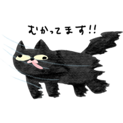 くろねこのキラ！