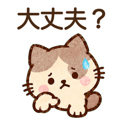 体調を気づかう猫のやさしい伝言