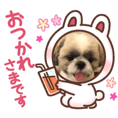 愛犬スタンプマイドッグ