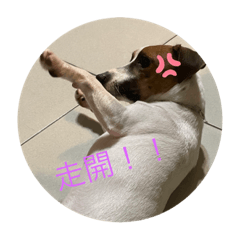 Doris_20210915231526