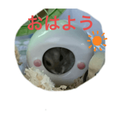 サリラの日常スタンプ