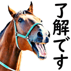 敬語で競馬