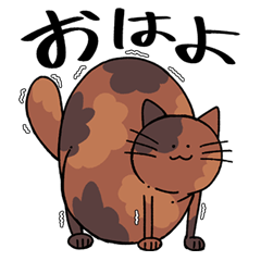 ぽってり猫「サビ」