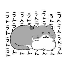 ハチワレ猫のまいにち