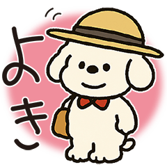 かわいいトイプードルの夏。