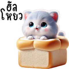 Blue cat, cute little cat