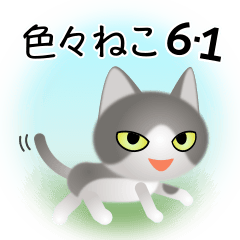 色々な猫6-1 短毛-立ち耳-グレー白