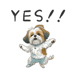 シーズーの日常〜敬語もあるよ