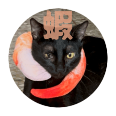 Wendy_20250928014438