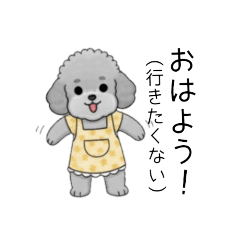 愚痴る保育士トイプードル