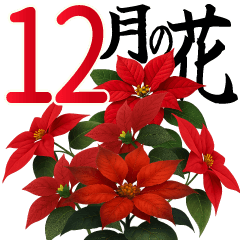 12月 冬の花 大きくて見やすい挨拶スタンプ