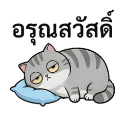 Snarky Tabby Cat: Too Sleepy to Care