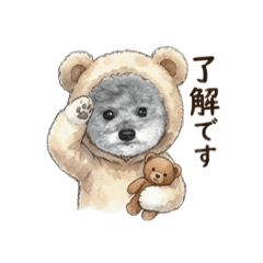 トイプーシルバー『レオン』の日常基本編