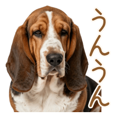 優しく寄り添う♡癒し犬の相槌