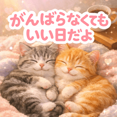 とびだす★猫♡超♡思いやり/にゃんこ/ねこ