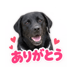 らぶくんの挨拶