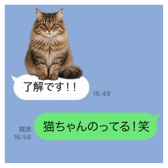 メッセージにサイベリアンを添えて