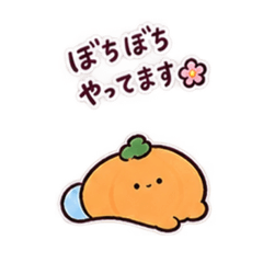 ぐうたらかぼちゃ