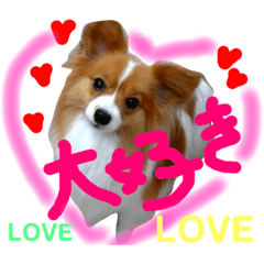 毎日使えるスタンプ♡可愛い愛犬♡パピヨン