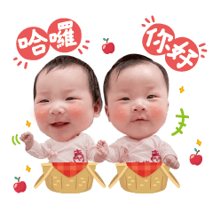 Cola Shuangbao loves you