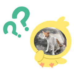 spoon_20200830171750