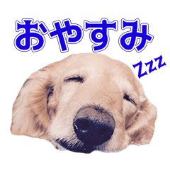 YI様のスタンプ