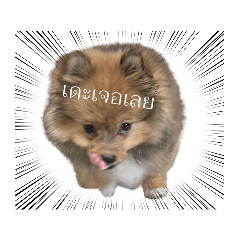 Thananya_20230518115143