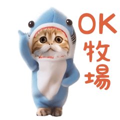 踊る！ダンス サメ猫（死語）