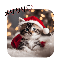 子猫スタンプ～クリスマスバージョン～