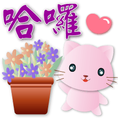 Cute pink cat -- super practical