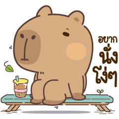 Capy Brownies so lazy all day long