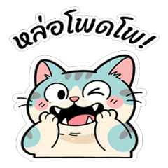 Isaan Cat: Sassy & Cute!