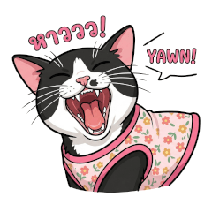 Lucky The Cat in Pink Vest