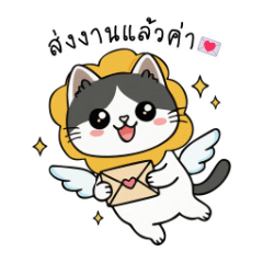 THE JAIFU: Cute Cat at Work