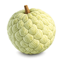 Super delicious custard apple