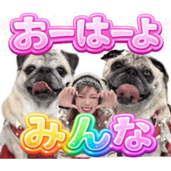 第3段ペコピノさっちゃん