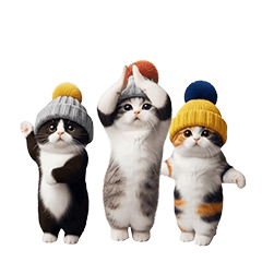踊る！ニット帽にゃんこ