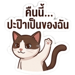 My dearest kitty